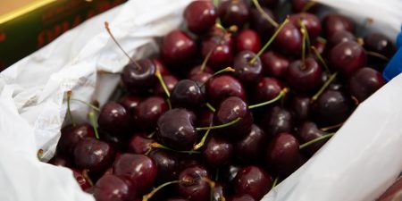 Fresh fruit, now all the time 