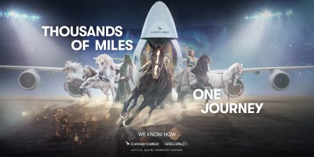 Eight breeds, one charter flight, 12 hours: how the Cathay Live Animal solution keeps every horse steady on its feet