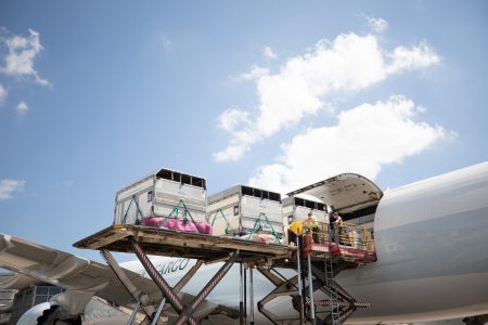 噢，航班起飛了