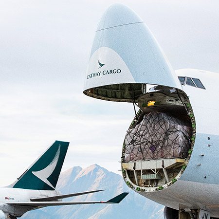  國泰特殊貨物運輸提供專門的裝卸設備，用於奇形怪狀和超重的貨物