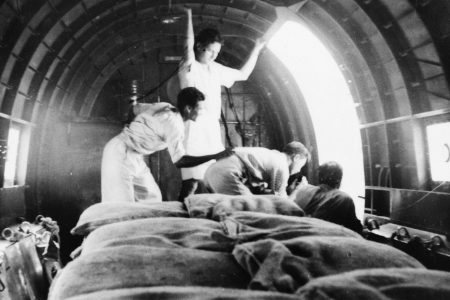 Sheep transported on a cargo plane