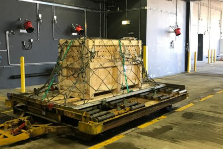 Crate with air holes on cargo pallet in cargo terminal