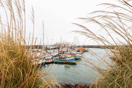 Docked fishing trawlers