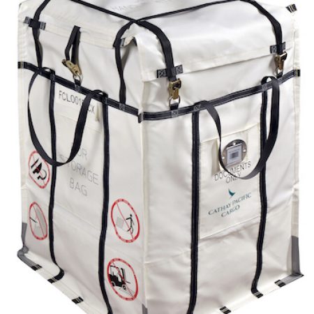 Fire containment bag