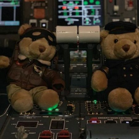 Cathay stuffed bears on flight panel