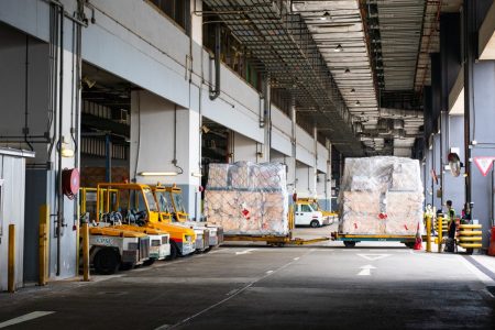 Shipments on pallets in cargo terminal