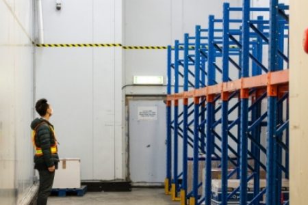 Staff in cargo facility