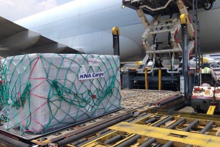 Vaccine shipment on pallet outside Cathay Cargo aircraft