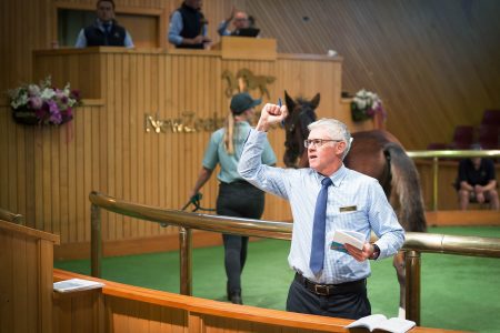 Gregg Northcott at horse auction