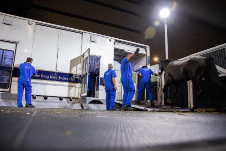 Jockey Club grooms handling horse
