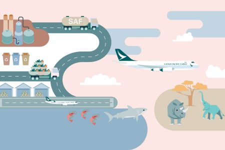 Illustration showing sustainable business ecosytem