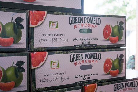 Boxes of green pomelos