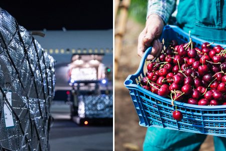 A cargo shipment and a basket of cherries
