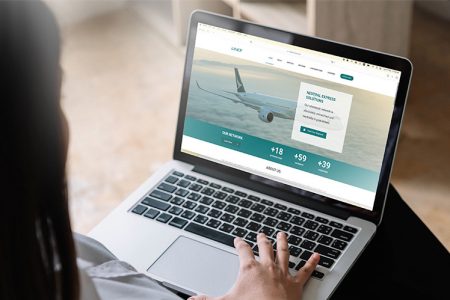 Customer accessing Linex website site on laptop