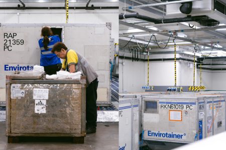 Terminal staff loading dry ice in cooltainer