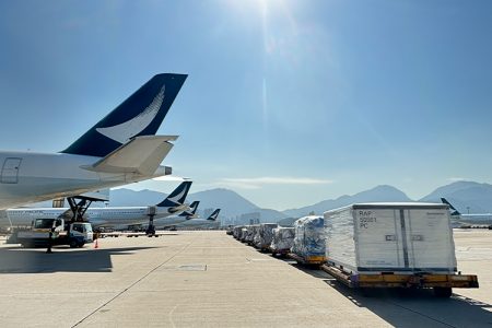 Parallel rows of Cathay aircraft and cargo shipments on pallets 
