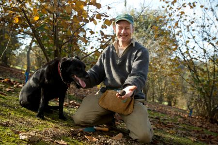 A person kneeling with a dog