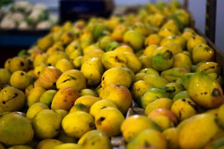 雖然開恩茲是為冬季旅遊而設的季節性航線,但復飛此航線亦為海鮮及芒果一類熱帶水果的新鮮農產出口商帶來契機。