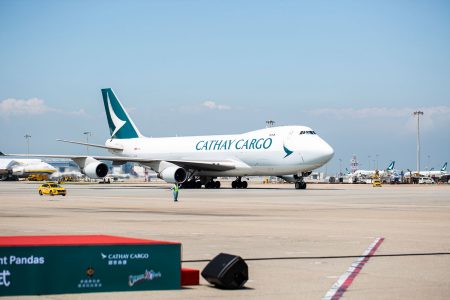 順利抵港:載有國寶貴賓的國泰貨機駛向停機坪