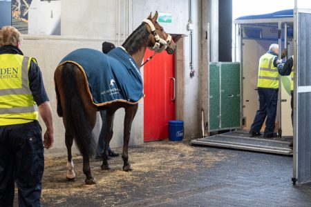將馬匹從列日機場的Horse Inn馬房設施載入馬廐
