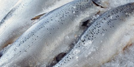 How Cathay Cargo keeps chilled salmon Cathay Fresh