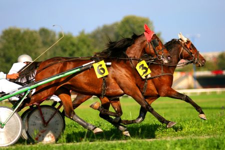 Some horses pulling sulkies compete in a harness horse race
