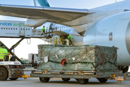 Part of the Terracotta Army shipment being unloaded at Perth