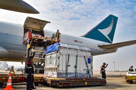 The horses are unloaded quietly at Hong Kong International Airport