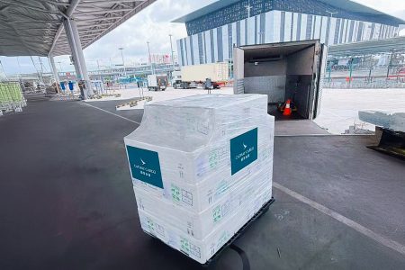 All change: the lobsters swap truck at the Macao border having crossed the bridge